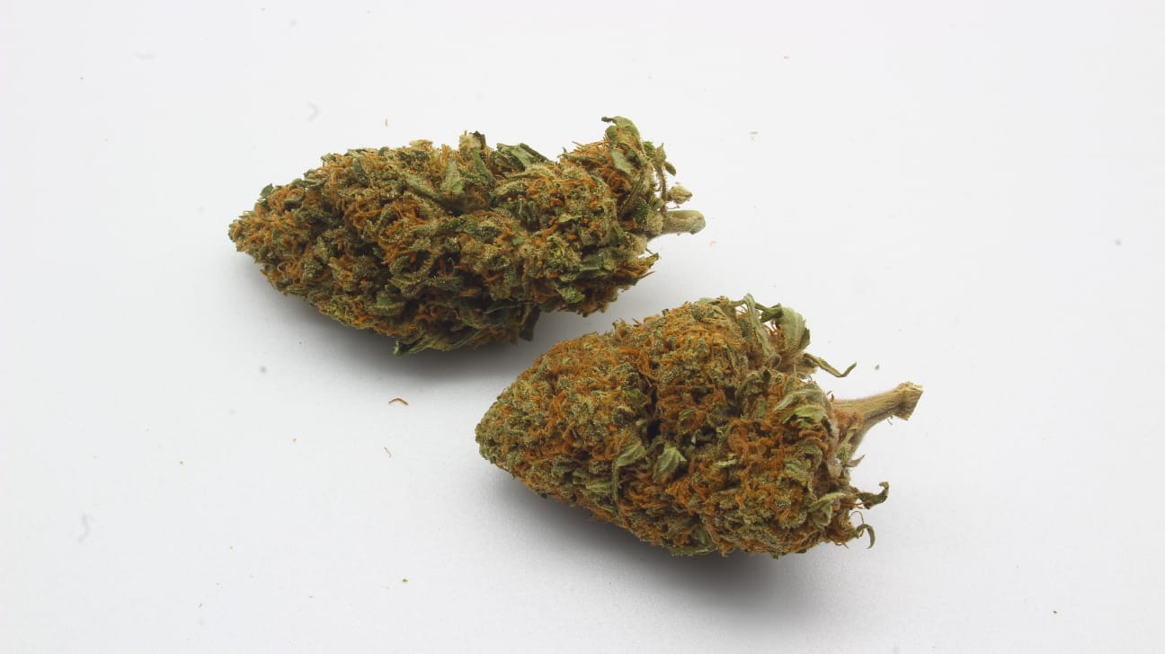 Cannatonique | THC < 0,2% - CBD < 20%