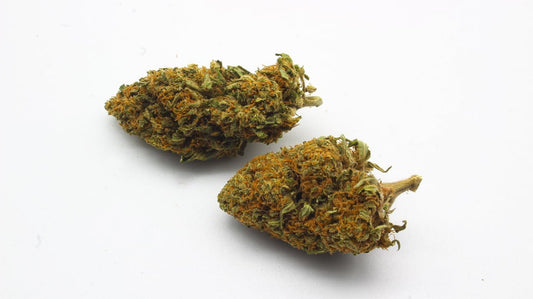 #product_cbd# - #shop_cbd##erba_cbd##thc#